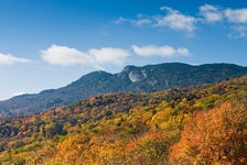 The Best of Asheville: Private 2.5-hour Walking Tour in Asheville, North Carolina