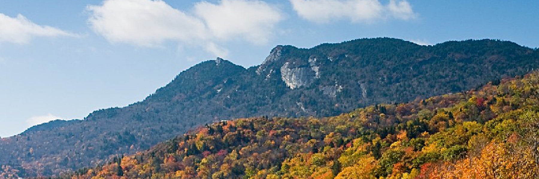 The Best of Asheville: Private 2.5-hour Walking Tour in Asheville, North Carolina