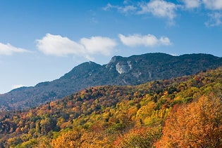 The Best of Asheville: Private 2.5-hour Walking Tour in Asheville, North Carolina