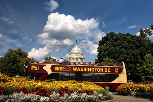 Big Bus Tours Washington DC in Washington, District of Columbia