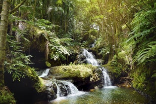 Big Island Circle Tour in Kailua-Kona, Hawaii