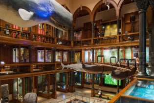 Bishop Museum in Honolulu, Hawaii