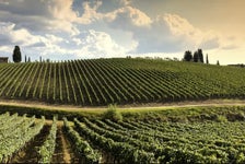 Bodacious Bordeaux Woodinville Wine Pass in Woodinville, Washington