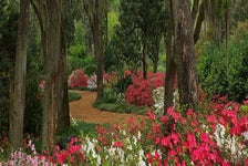 Bok Tower Gardens in Lake Wales, Florida