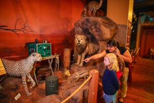 The Buckhorn Museum and Texas Ranger Museum in San Antonio, Texas