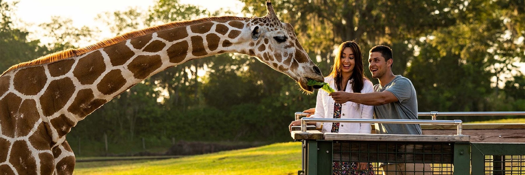 Busch Gardens Tampa Bay in Tampa, Florida