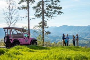 Cades Cove Tour in an Open-Air Jeep in Pigeon Forge, Tennessee