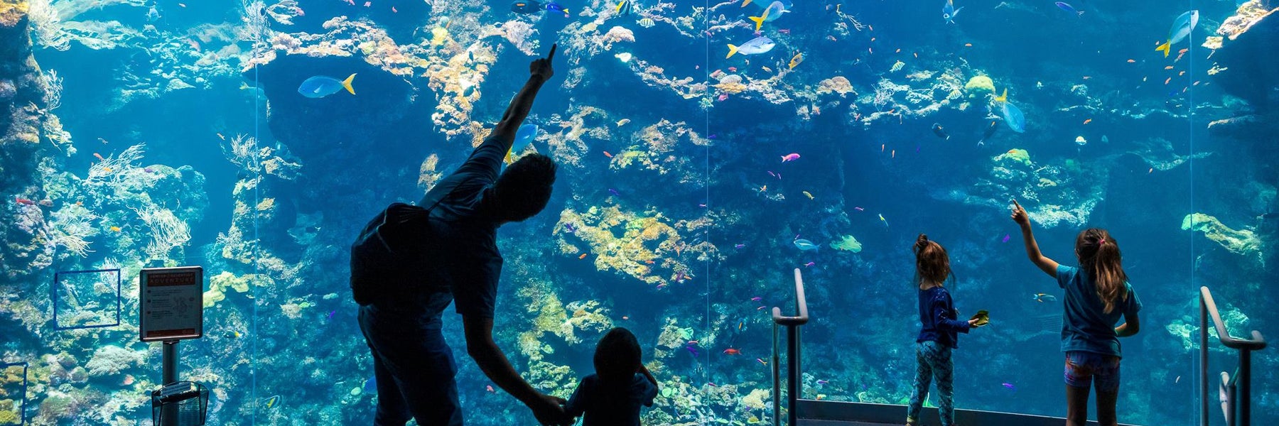 California Academy of Sciences in San Francisco, California