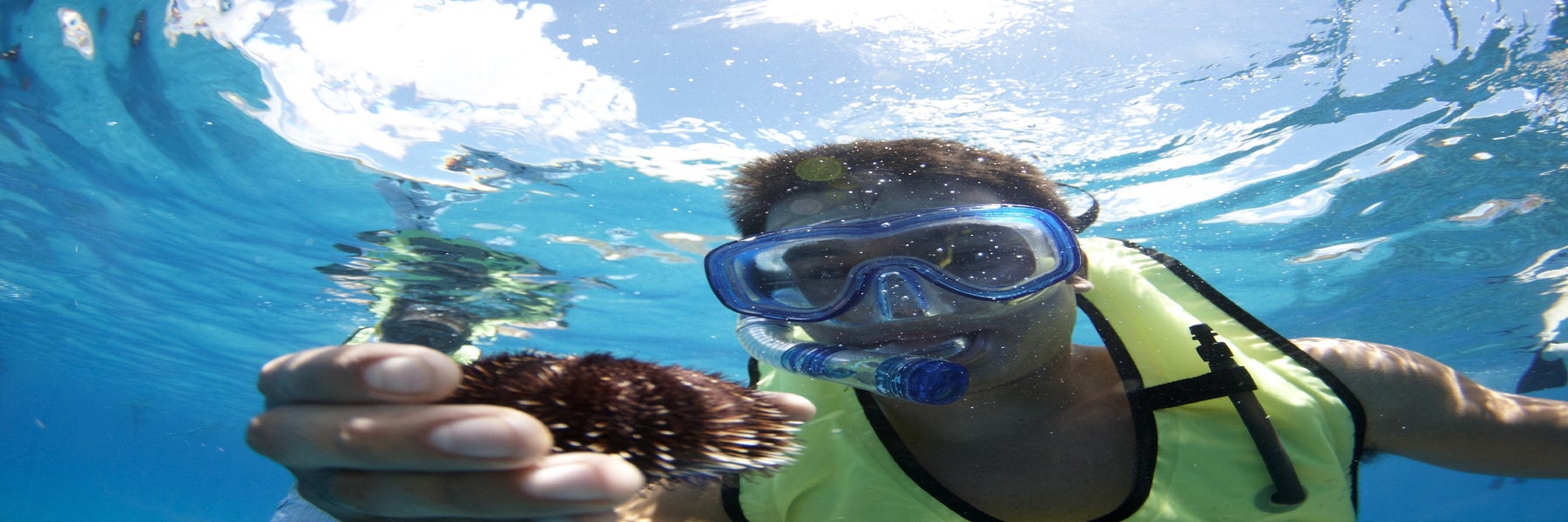 Spirit of Aloha Catamaran Snorkel Sail in Waikoloa, Hawaii