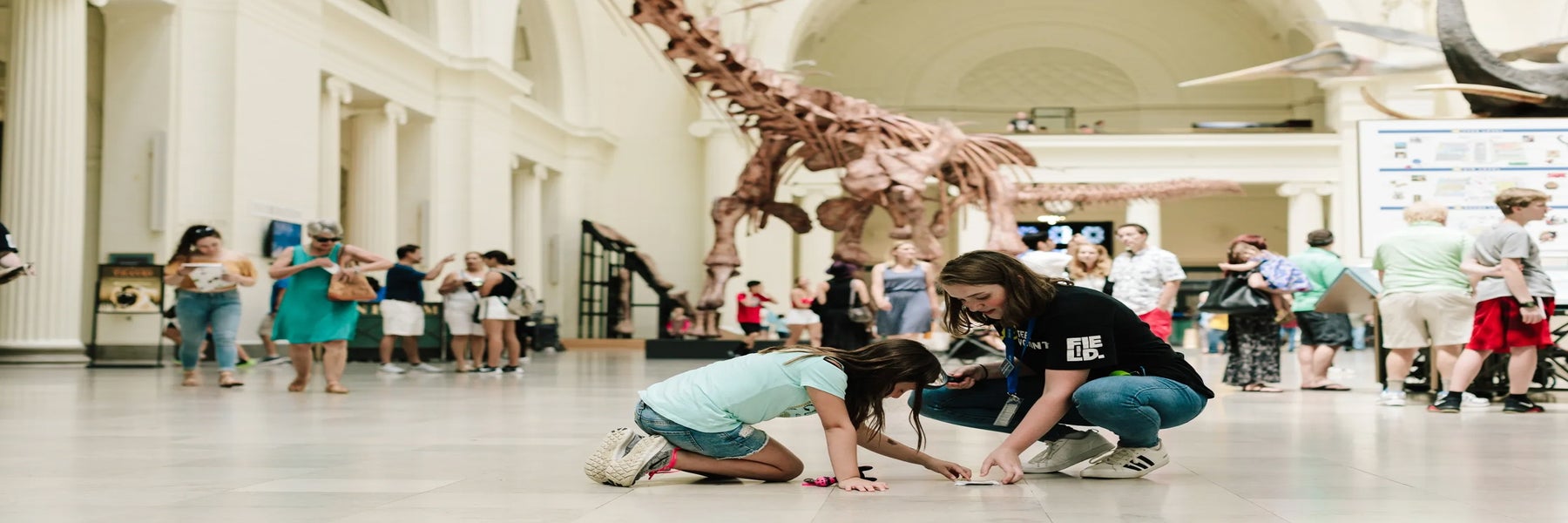 Go City Chicago Explorer Pass  - , 