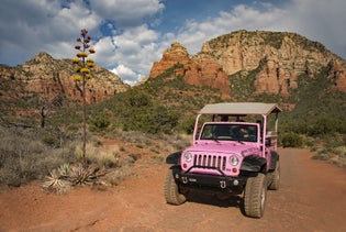 Coyote Canyons - Pink Jeep Tour in Sedona, Arizona