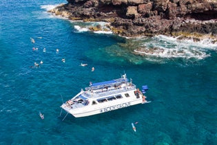 Deluxe Snorkel & Dolphin Watch in Kailua Kona, Big Island, Hawaii