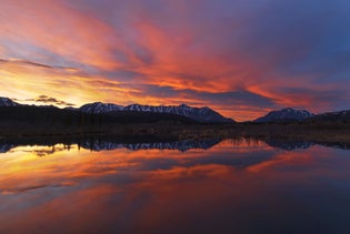 Denali Midnight Sun Photo Excursion in Denali Park, Alaska