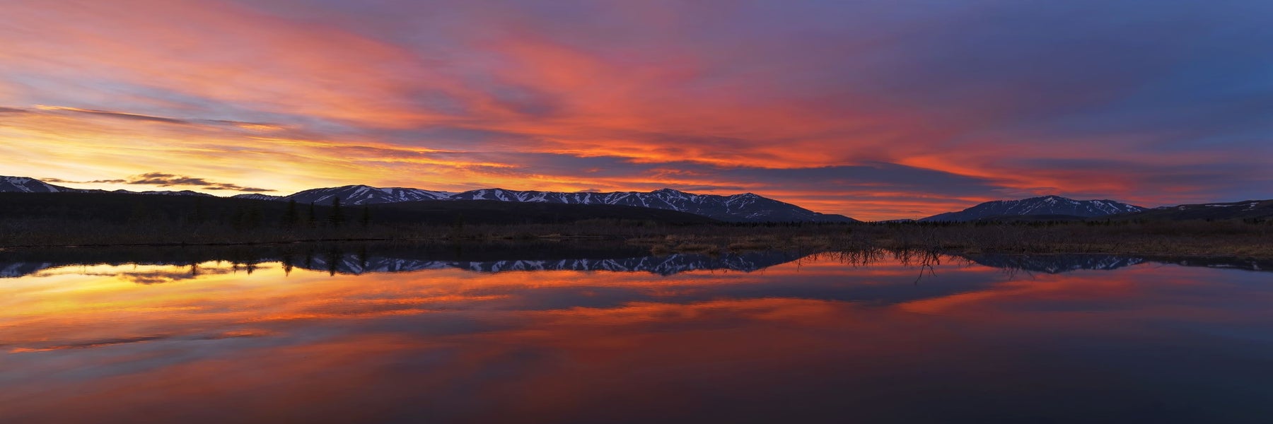 Denali Midnight Sun Photo Excursion in Denali Park, Alaska
