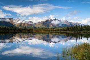 Denali Photo Excursion in Denali Park, Alaska