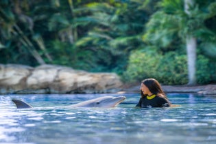 Discovery Cove Orlando in Orlando, Florida