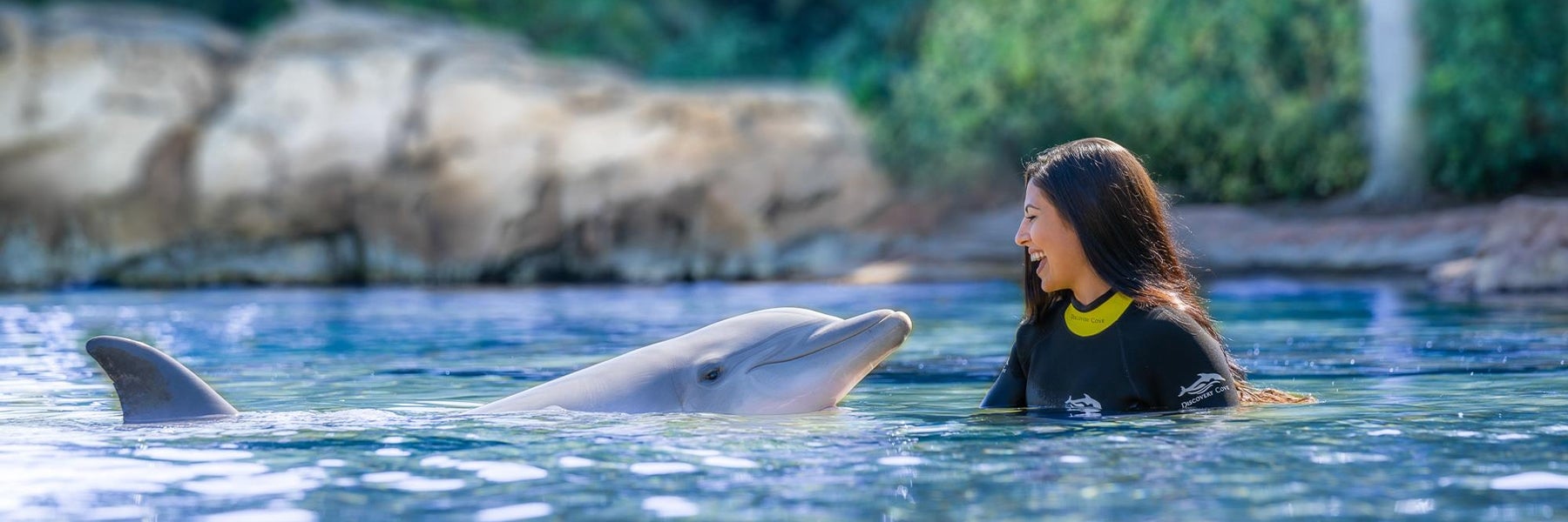 Discovery Cove Orlando in Orlando, Florida