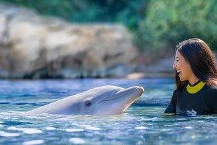 Discovery Cove Orlando in Orlando, Florida