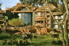 Disney's Animal Kingdom Lodge in Lake Buena Vista, Florida