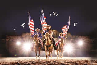Dolly Parton's Stampede Dinner Attraction in Pigeon Forge, Tennessee