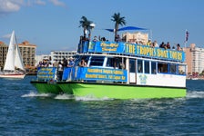 Dolphin Exploration Tour in Clearwater, Florida