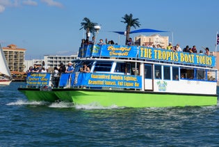 Dolphin Exploration Tour in Clearwater, Florida