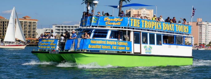 Dolphin Exploration Tour in Clearwater, Florida