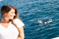 Dolphins and You in Honolulu, Hawaii