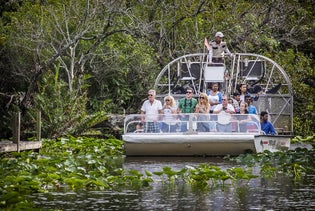 Everglades Airboat Adventure Tour in Miami, Florida