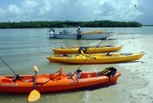 Everglades National Park Boat Assisted Kayak Eco Tour in Chokoloskee Island, Florida