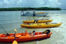Everglades National Park Boat Assisted Kayak Eco Tour in Chokoloskee Island, Florida