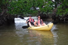 Everglades National Park Dolphin, Birding & Wildlife Boat Tour in Chokoloskee Island, Florida