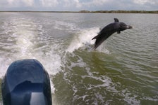 Everglades National Park Wildlife & Beach Expedition in Chokoloskee Island, Florida