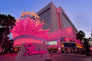 Flamingo Las Vegas in Las Vegas, Nevada