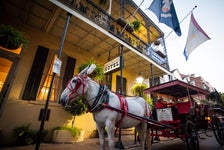 French Quarter Carriage Tours in New Orleans, Louisiana