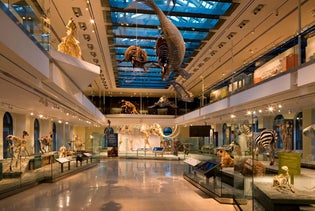 Go City Los Angeles All-Inclusive Pass and Pass Plus - ,