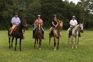 Guided Horseback Trail Ride in Clermont, Florida