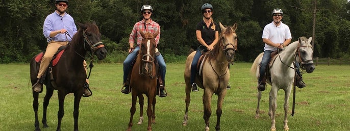 Guided Horseback Trail Ride in Clermont, Florida