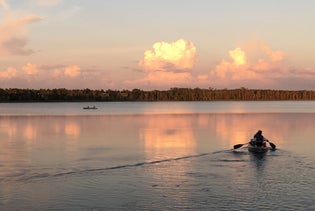 Central Florida Kayaking Lesson & Eco-Tour in Clermont, Florida