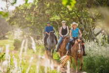 Gunstock Ranch Horseback Rides in Kahuku, Hawaii