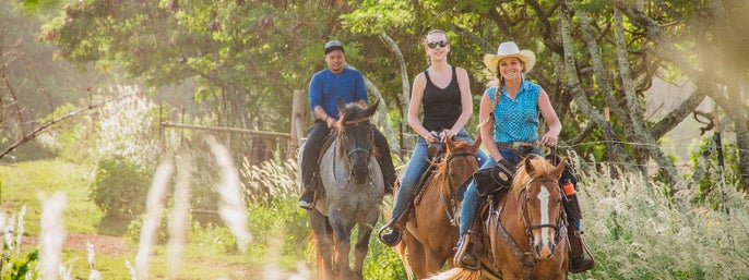Gunstock Ranch Horseback Rides in Kahuku, Hawaii