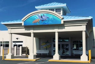 Guy Harvey Resort St. Augustine Beach in St. Augustine, Florida