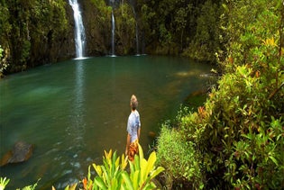 Maui Hana Picnic Day Tour in Hana, Maui, Hawaii