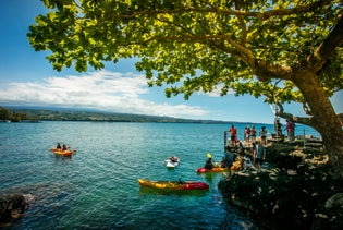 Historic Hilo Bay Waterfalls by Kayak in Hilo, Hawaii