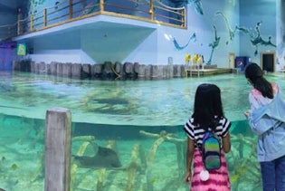 Houston Interactive Aquarium & Animal Preserve in Humble, Texas
