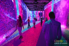 Illuminarium Toronto in Toronto, Ontario