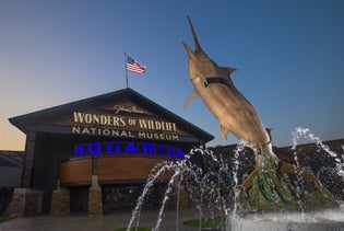 Johnny Morris' Wonders of Wildlife National Museum & Aquarium in Springfield, Missouri