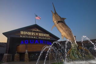 Johnny Morris' Wonders of Wildlife National Museum & Aquarium in Springfield, Missouri
