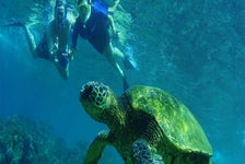 Kealakekua Bay Snorkel & Coastal Adventure - Kailua-Kona, HI