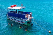 Key West Dolphin Watch and Snorkel Cruise in Key West, Florida